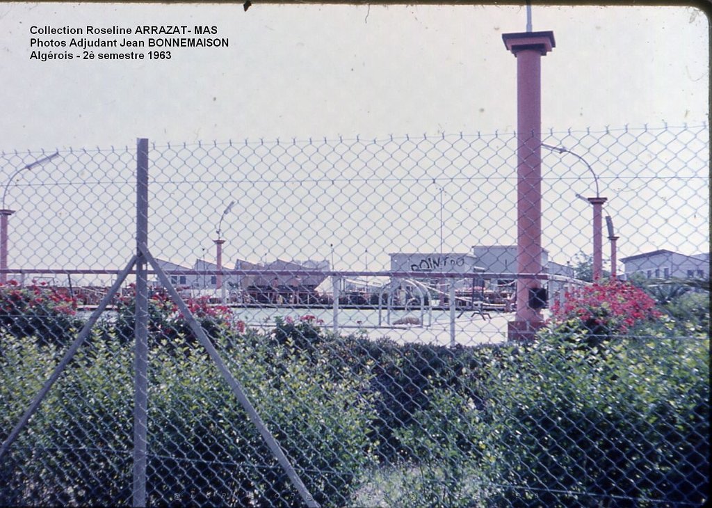 Mas- 365- C.jpg
